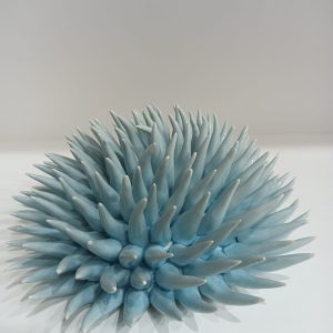 WhatsApp Image 2023-10-28 at 19.12.37 (1)