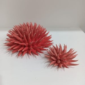 WhatsApp Image 2023-10-28 at 19.12.38 (1)